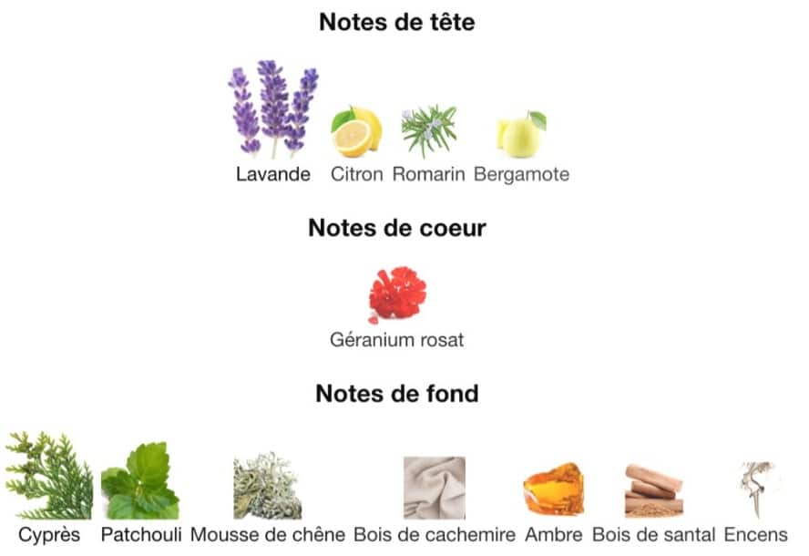 composition Eau de toilette​ Jacques Zolty pour Homme