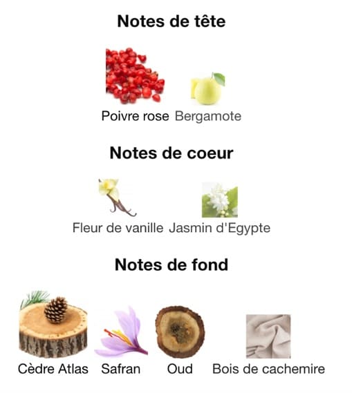 composition Jai fait un reve obscur